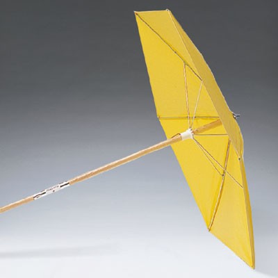 Economy Umbrella (#9403-01)