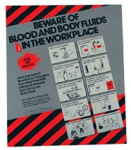 Bloodborne Pathogens In The Workplace Poster (#BHWP1)