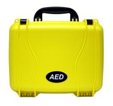 Lifeline Standard Hard Carrying Case, Yellow (#DAC-112)