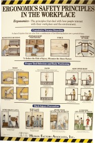 Ergonomics Safety Principles In The Workplace Poster (#ESP1)