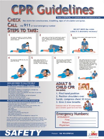 CPR Guidelines Poster (#PST004)