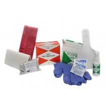 BBP Spill Clean-Up Kit (#200-094)