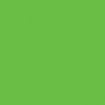 Flagging Tape, Fluorescent Green (#FT22)