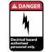 Danger Electrical hazard authorized personnel only ANSI Sign (#DGA40)