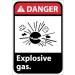 Danger Explosive gas ANSI Sign (#DGA42)