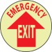 Emergency Exit Glow Walk-On Floor Sign (#GWFS25)