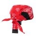 Arctic Cooling Head Shade, red paisley (#RCS307)